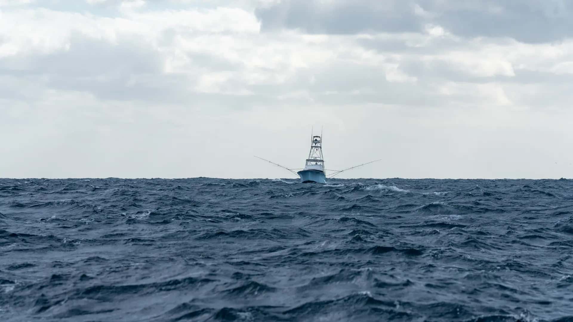 Sailfish Classic Tournament Background